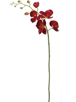 Sullivans Artificial Phalaenopsis Orchid Stem 35"h Red Flowers