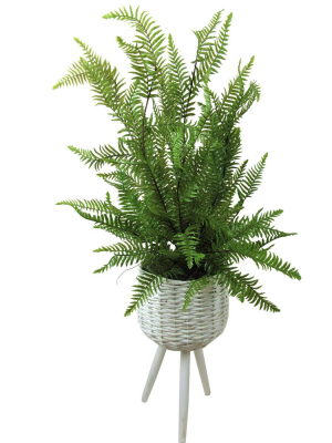 46" X 18" Artificial Sword Fern Plant In Basket Stand - Lcg Florals