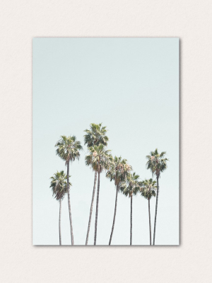 California Palm Trees Ii
