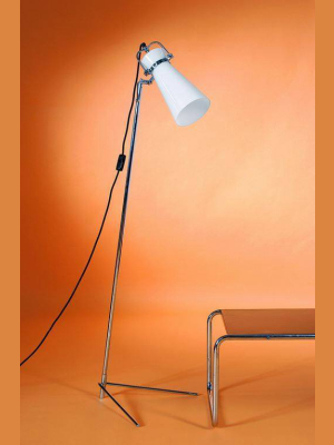 Barnicot Floor Lamp 1950