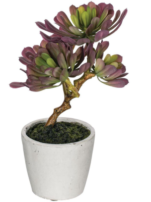 Sullivans Artificial Echeveria Potted 12.5"h Purple