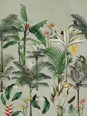 Sample Above The Tropics Wall Mural In Green By Walls Republic