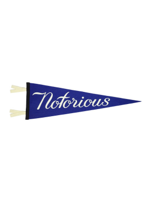 Notorious Pennant • United By Blue X True Hand Society X Oxford Pennant Original