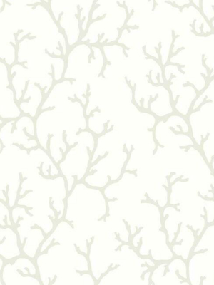 Coral Island Wallpaper In White From The Water's Edge Collection By York Wallcoverings