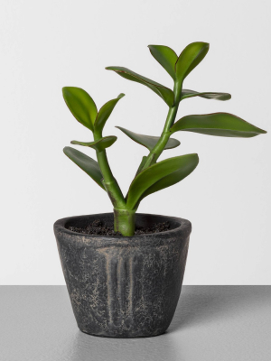 7.5" Faux Jade Potted Plant - Hearth & Hand™ With Magnolia