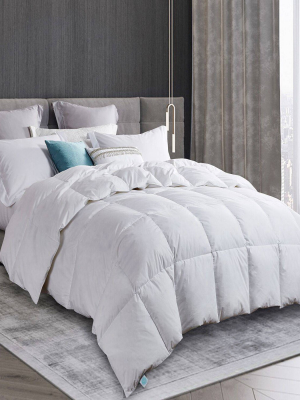 Goose Down & Feather Comforter White - Martha Stewart