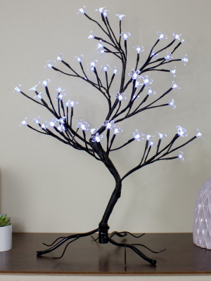 Northlight 25" Pre-lit Japanese Sakura Blossom Flower Artificial Tree - Pure White Led Lights