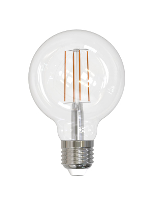 Led Globe Bulb - G25