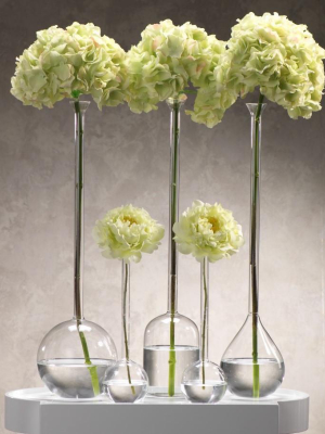 Long Neck Vases