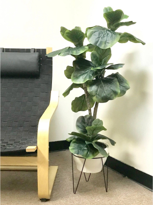 44" X 20" Artificial Fig Plant In Mid Century Plant Stand - Lcg Florals