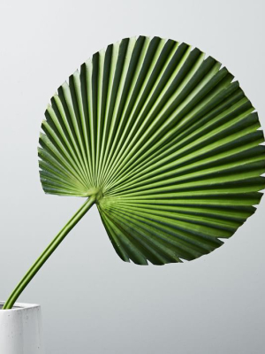Faux Fan Palm Plant Leaf
