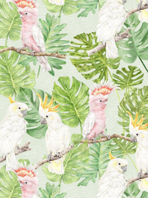 Tropical Cockatoos Wallpaper From The Wallpaper Republic Collection By Milton & King