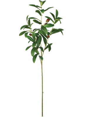 Sullivans Artificial Olive Leaf Spray 26"h Green