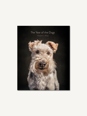 The Year Of The Dogs