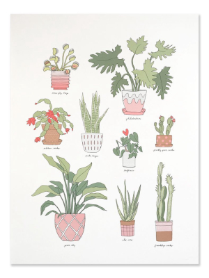 Hartland Brooklyn 18 X24 Houseplants