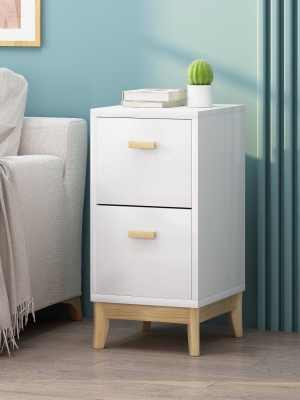 Picton Mid-century Modern 2 Drawer Chest Matte White - Christopher Knight Home