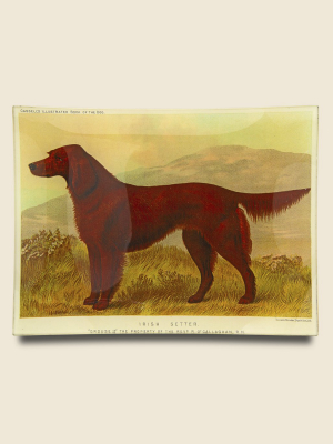 Rectangle Tray - Irish Setter