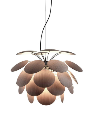 Discocó Pendant Light: Wood