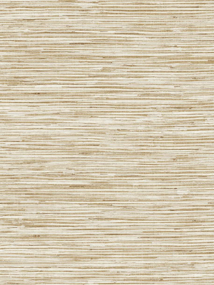 Grasscloth Peel-and-stick Wallpaper In Hemp By Stacy Garcia For Nextwall