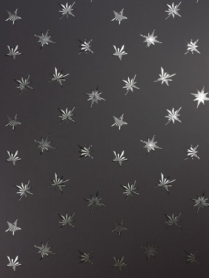 Sample Sirius Wallpaper In Black From The Belvoir Collection By Matthew Williamson