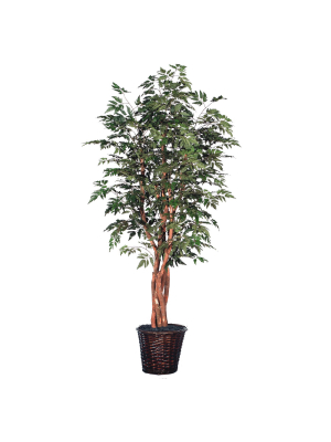 Vickerman Artificial Ming Aralia Extra Full Series