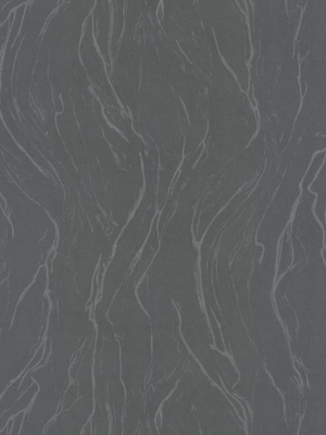 Upstream Wallpaper In Charcoal From The Urban Oasis Collection By York Wallcoverings