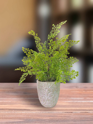 18" X 12" Artificial Maiden Hair Fern Plant In Decorated Cement Planter- Lcg Florals