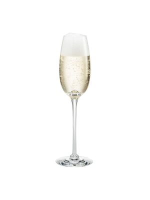 Fontaine Champagne Glass