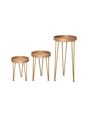 Set Of 3 Wood And Brass Metal Nesting Side End Tables - Foreside Home And Garden