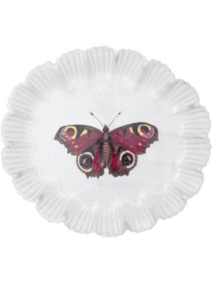 Burgundy Butterfly Dinner Plate