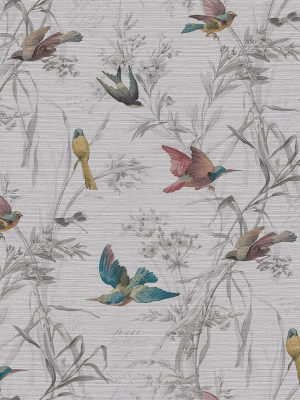 Birds Of Paradise Wallpaper In Sterling From The Sanctuary Collection By Mayflower Wallpaper