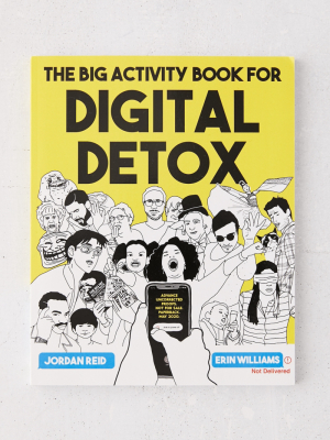 The Big Activity Book For Digital Detox By Jordan Reid & Erin Williams