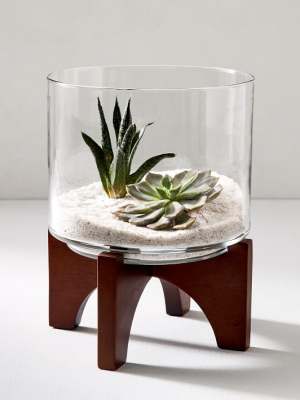 Turned Wood Terrarium