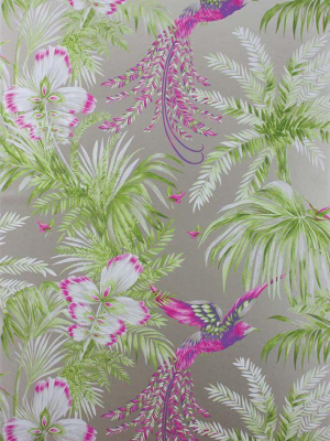 Sample Bird Of Paradise Wallpaper In Green And Purple From The Samana Collection By Matthew Williamson