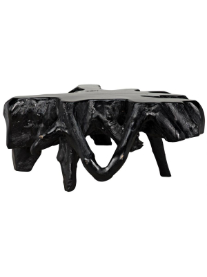 Teak Root Coffee Table, Black