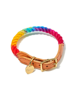 Prismatic Ombre Pet Collar