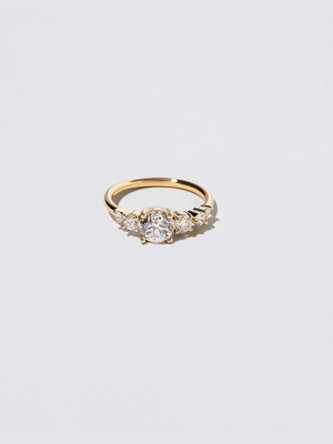 Capella Ring - White Diamond