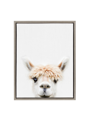 18" X 24" Sylvie Alpaca Bangs Canvas Wall Art By Amy Peterson Gray - Kate And Laurel