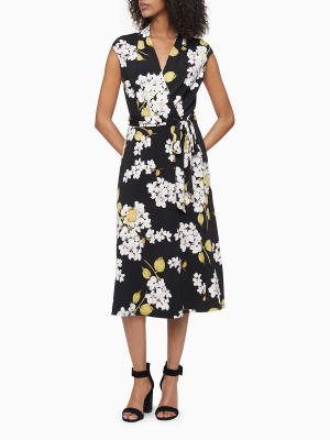 Printed V-neck Belted Cap Sleeve Wrap Dress