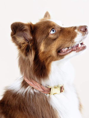 St. Frank Chevron Kilim Dog Collar