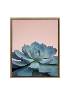 18" X 24" Sylvie Succulent 10 Framed Canvas By F2 Images Gold - Kate And Laurel