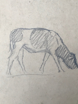 Evert Rabbers Cow Drawing 23