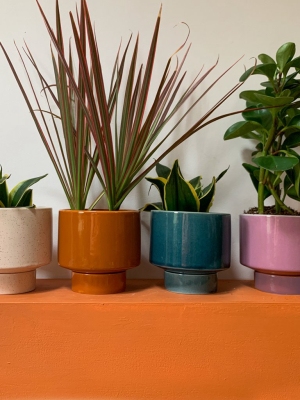 Kaya Shorty 2-piece Ceramic Planter By Justina Blakeney™