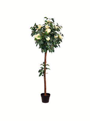 Vickerman Artificial Potted White Rose Tree.