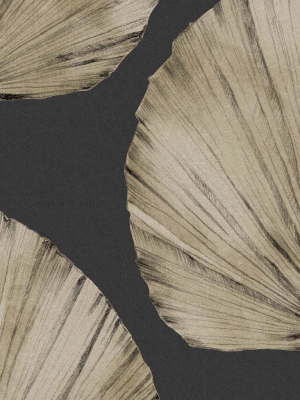 Palm Fan Wallpaper