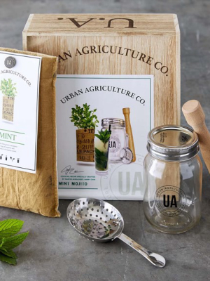 Grow Your Own Craft Cocktail Kit, Mint Mojito