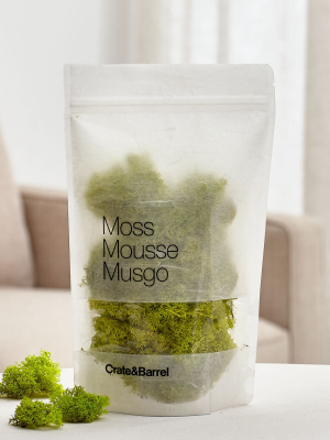 Chartreuse Bag Of Moss