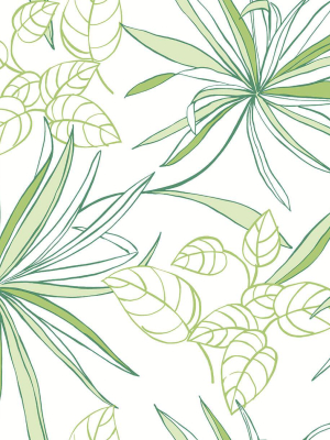 Spider Plants Peel-and-stick Wallpaper In Green By Nextwall