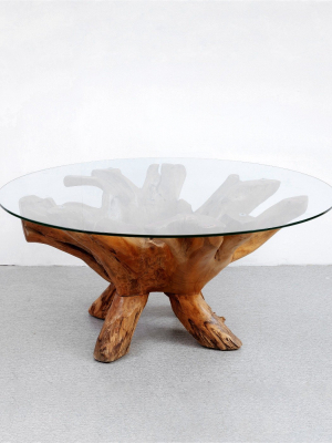 Ibori Organic Modern Teak Coffee Table