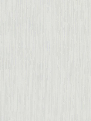 Simple Solids Wallpaper In Grey Design By Bd Wall